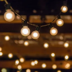 24v Festoon LED Lighting 10 or 20 Meter Filament Bulbs included Outdoor DIY Plug and Play Low Voltage