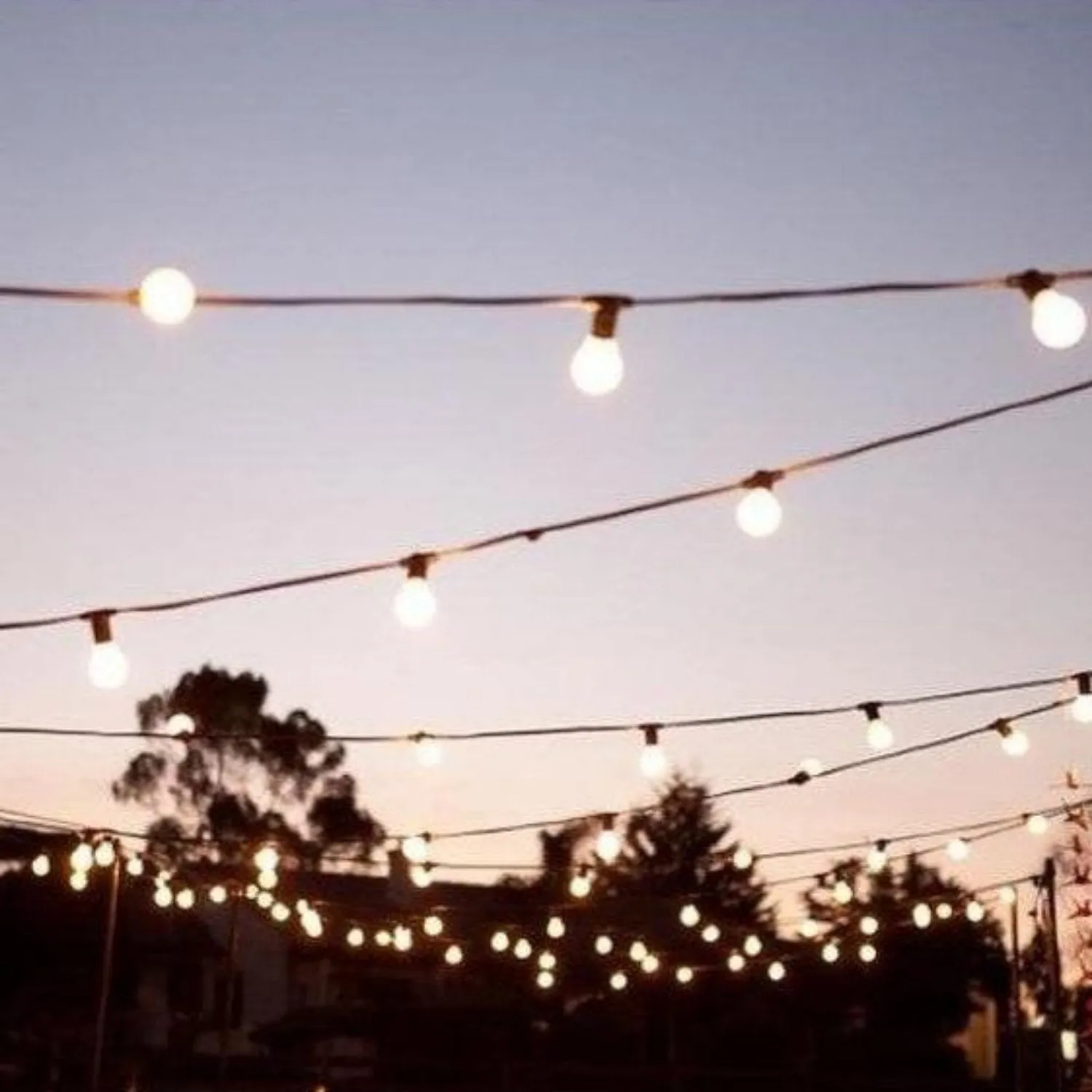24v Festoon LED Lighting 10 or 20 Meter Filament Bulbs included Outdoor DIY Plug and Play Low Voltage