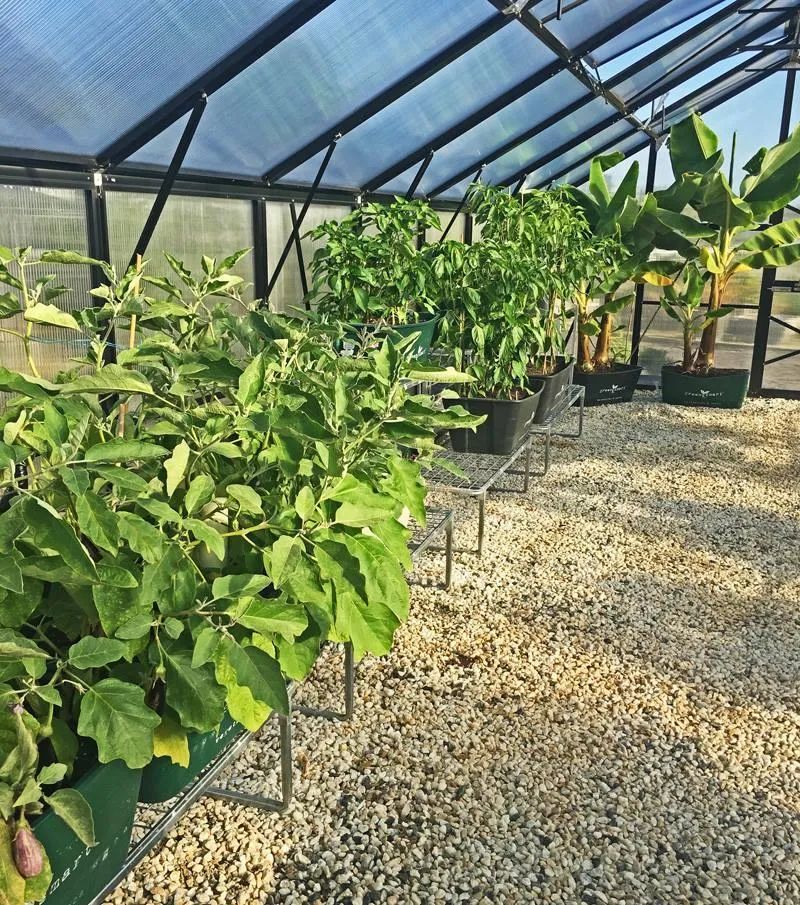 4 Pot Stand