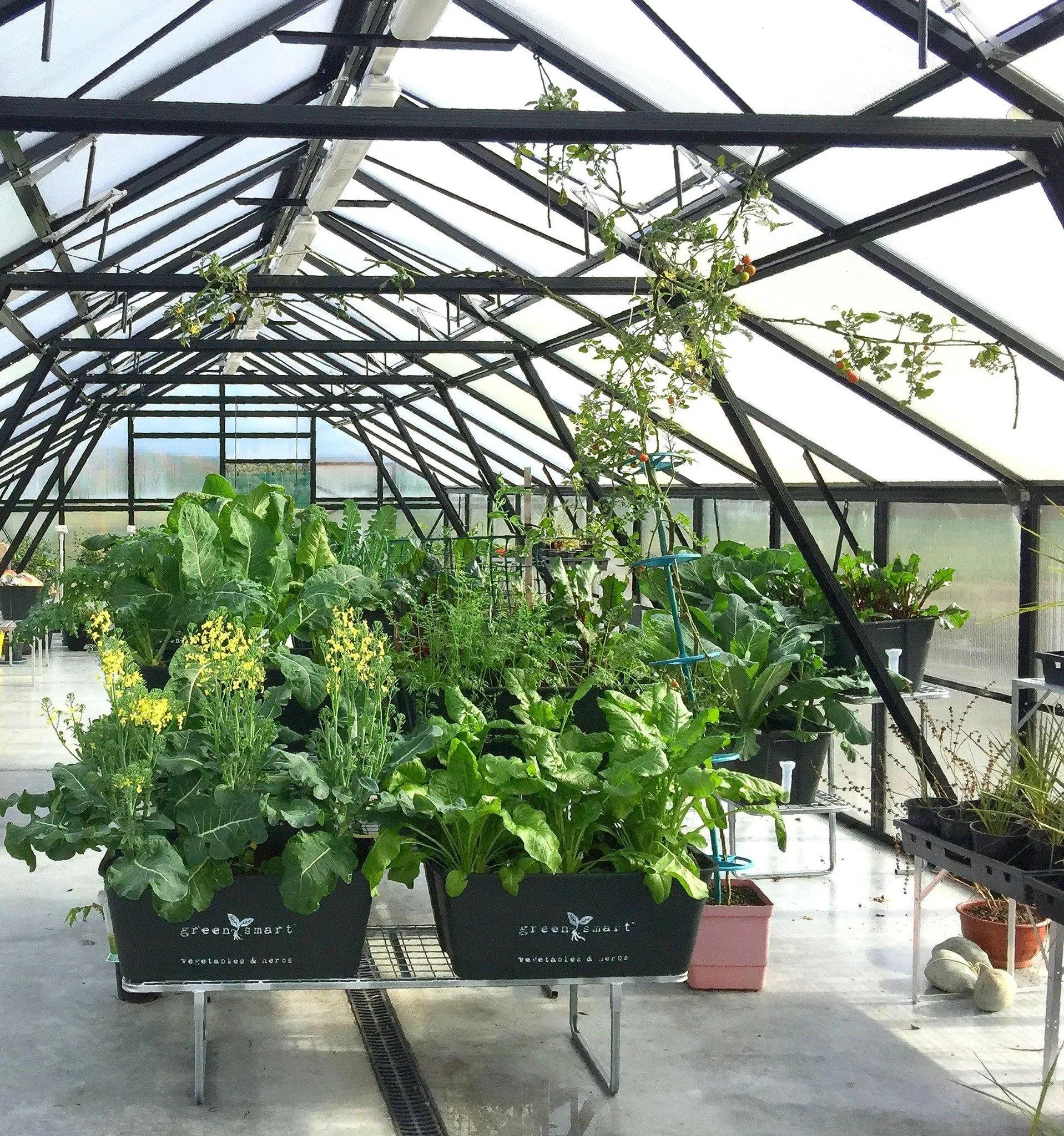 4 Pot Stand
