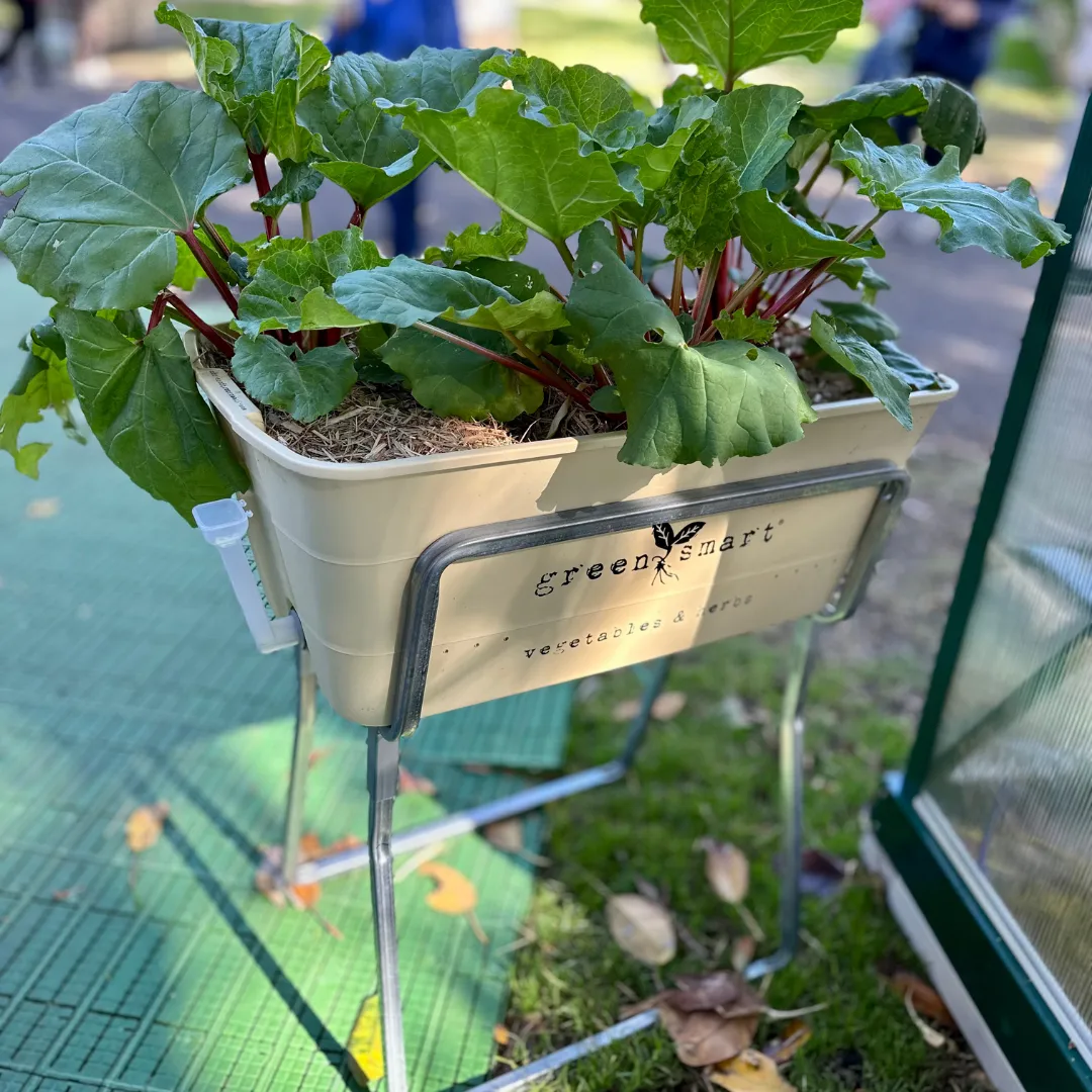 Cradle Stand