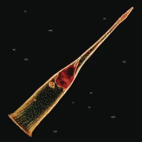Leprous "Melodies Of Atonement" CD