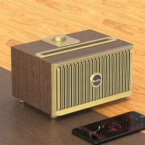 Oneder V6 Portable Bluetooth Speaker with Versatile Audio Options: Hands-Free, FM Radio, TF Card, AUX, and USB Support