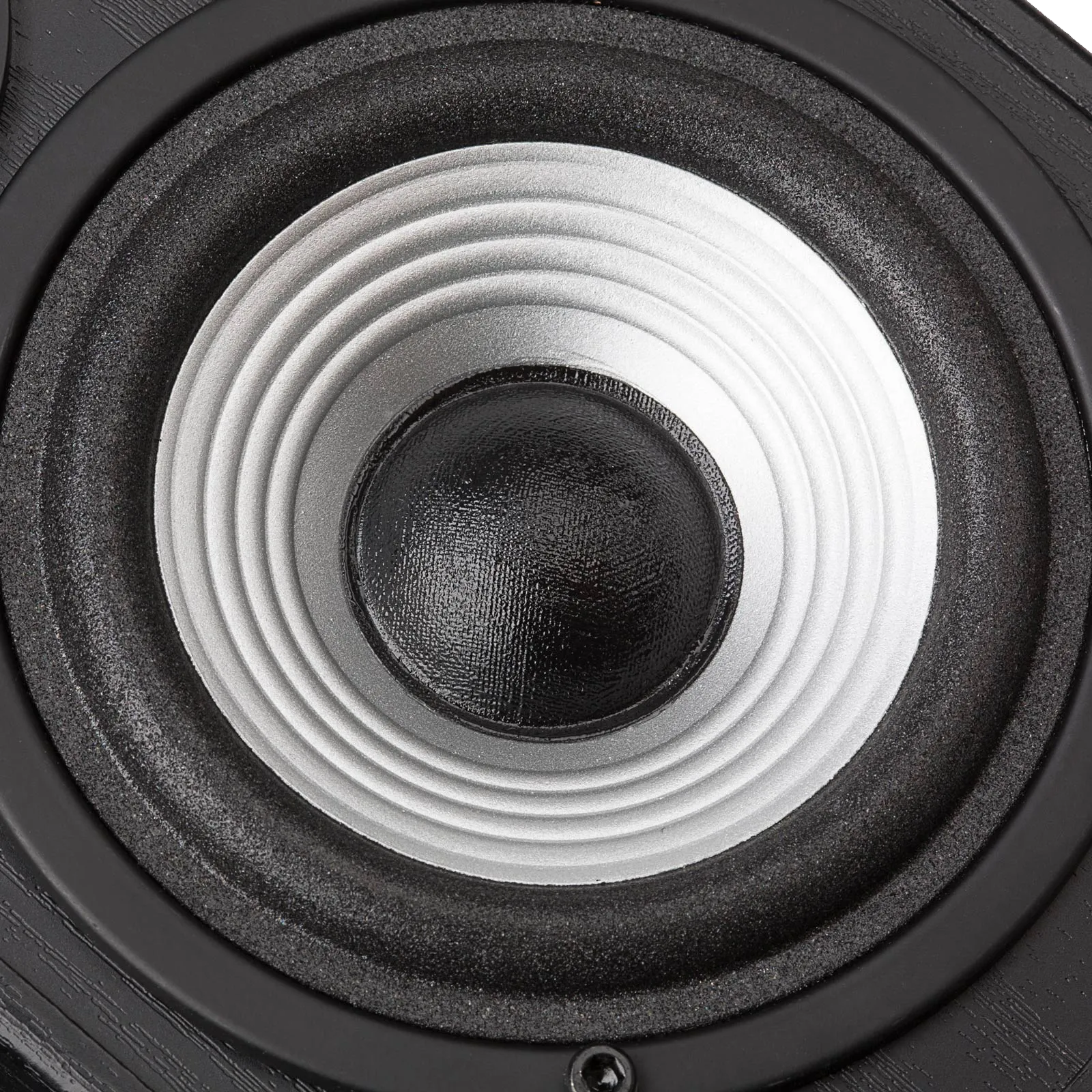 R980T Studio-Quality 2.0 Speaker