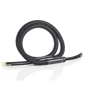 Shunyata Research Sigma v2 Speaker Cable (Pair)