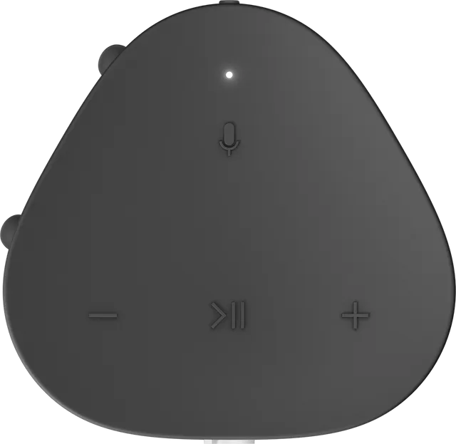 Sonos Roam