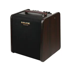 Stageman II AC-80 Charge Acoustic Amplifier