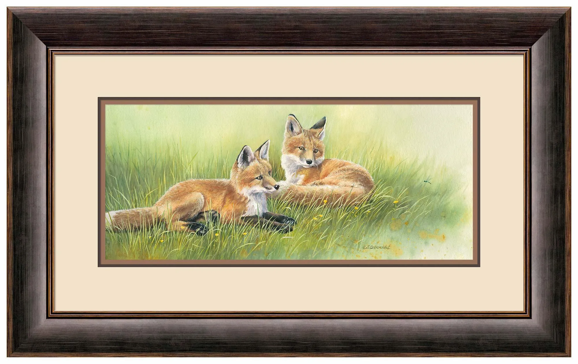 Time Out—Fox Kits