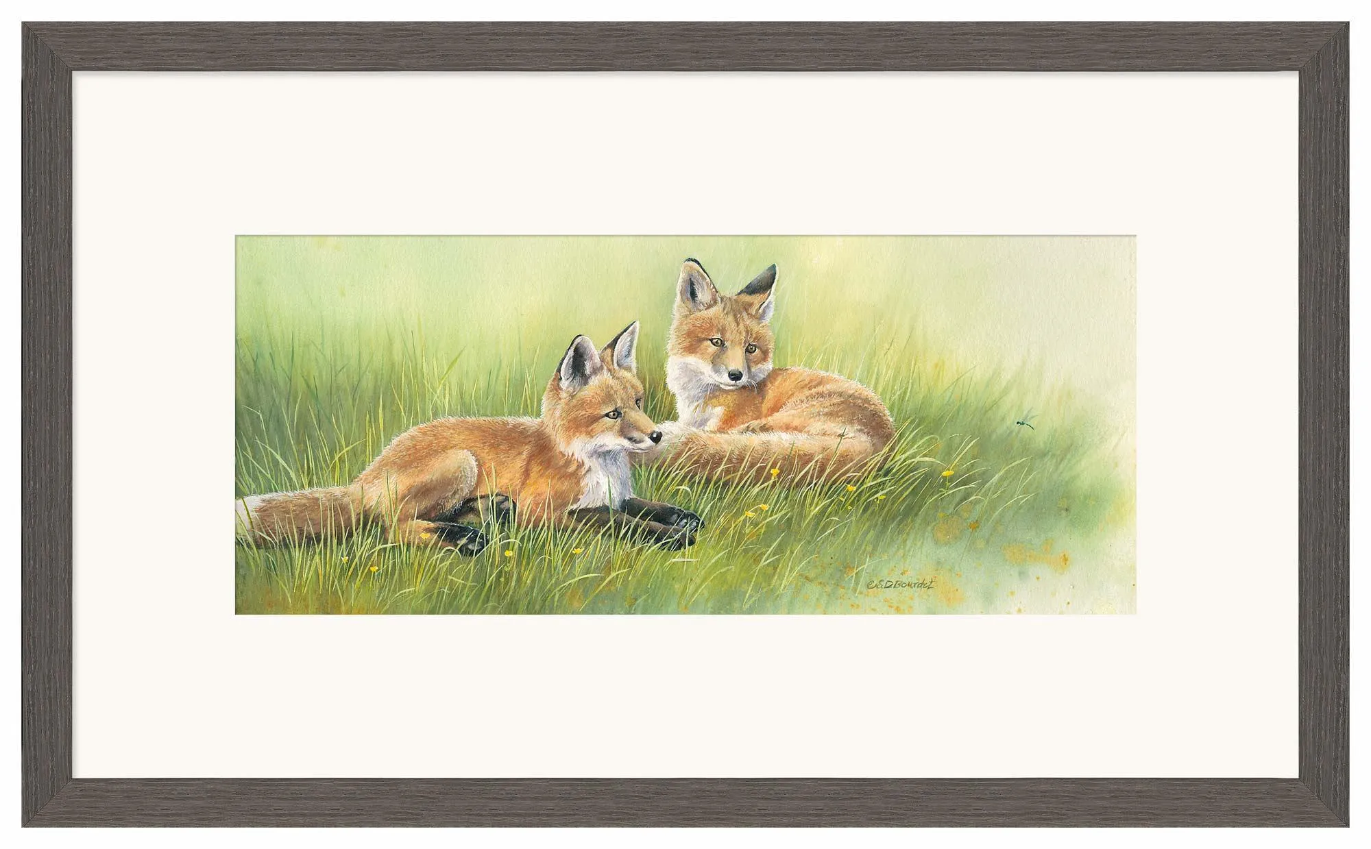 Time Out—Fox Kits