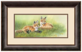 Time Out—Fox Kits