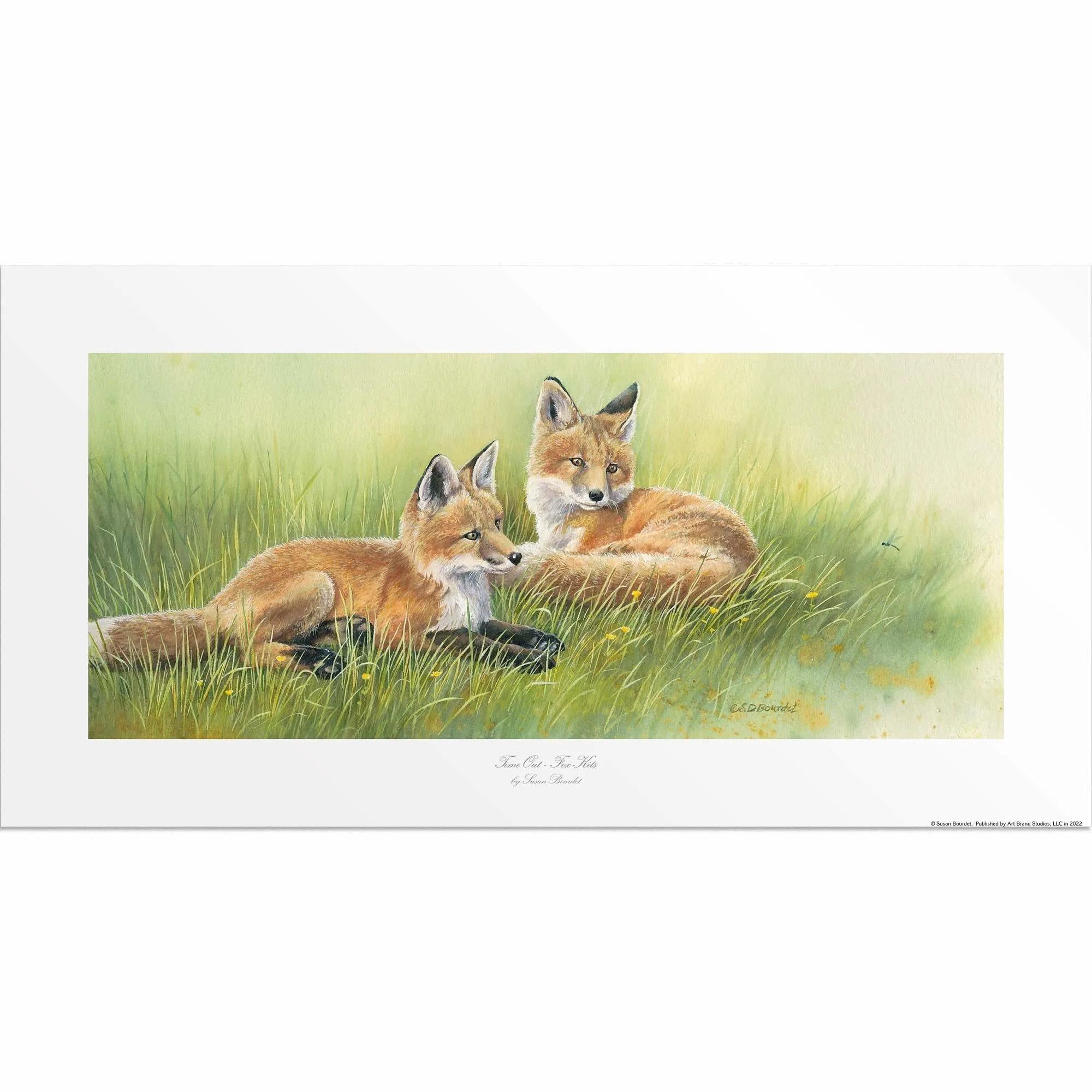 Time Out—Fox Kits
