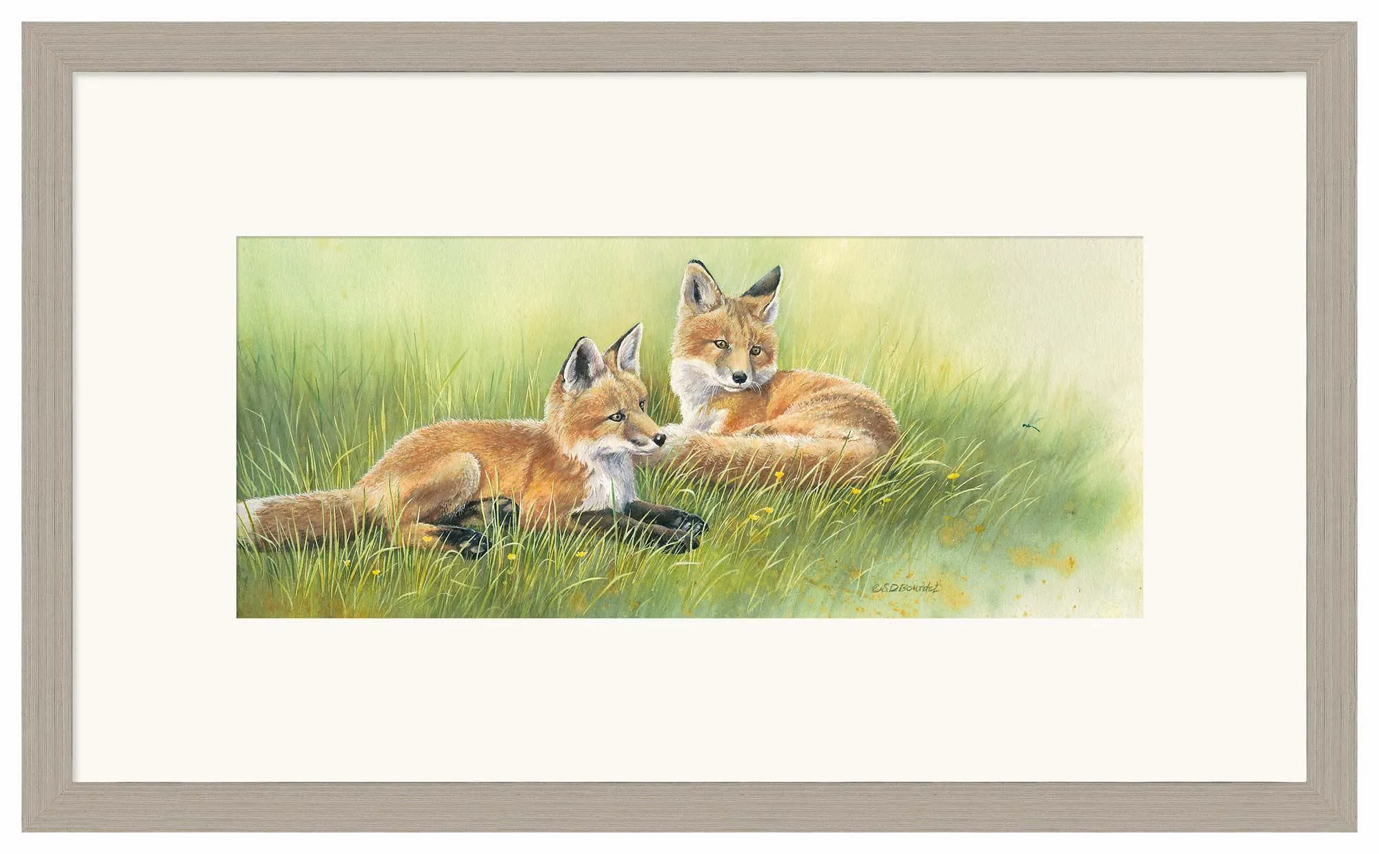 Time Out—Fox Kits