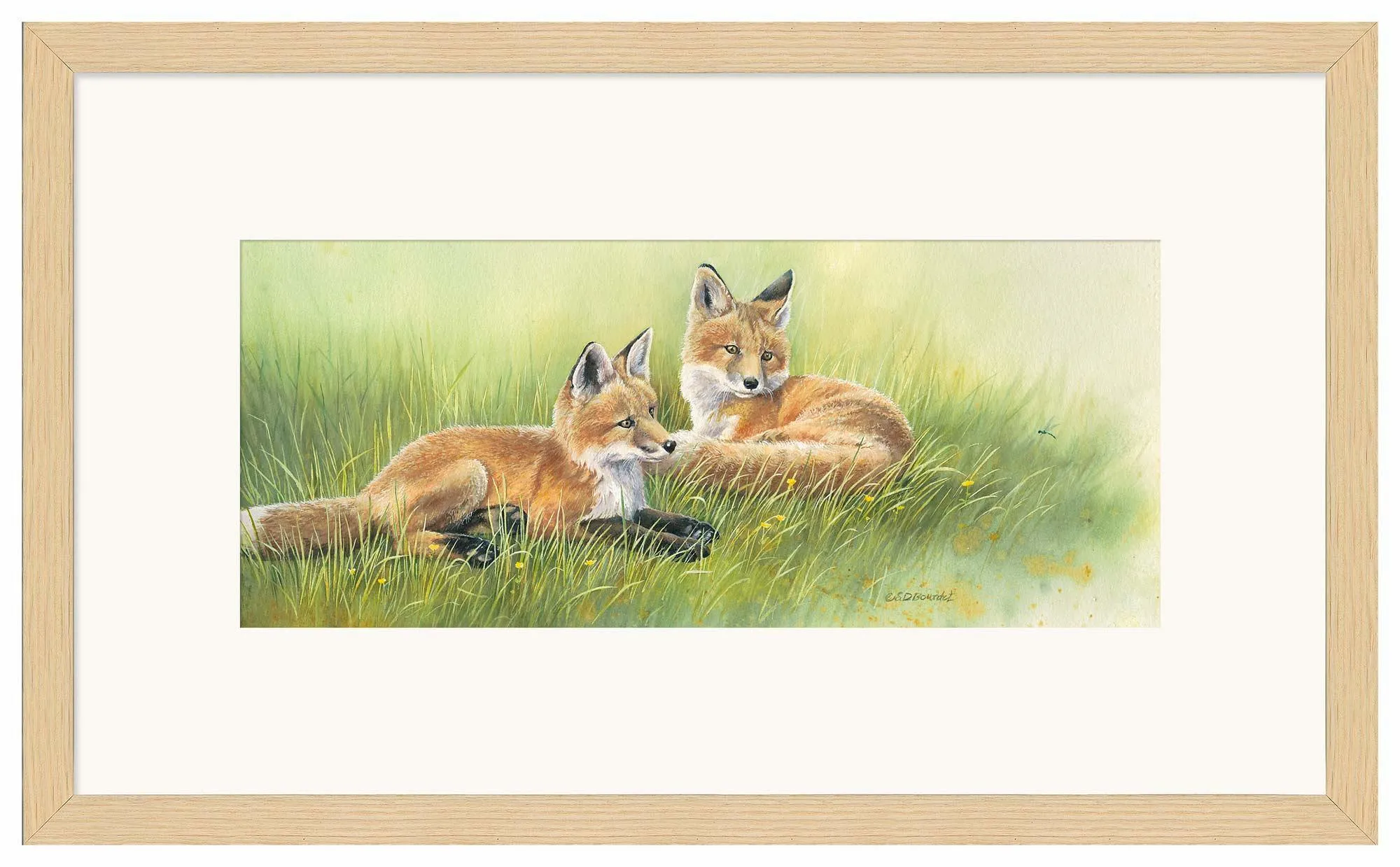 Time Out—Fox Kits
